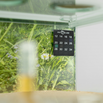 Preview: Folien Thermometer - Arena